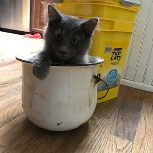 Meet your Posher, Kelly